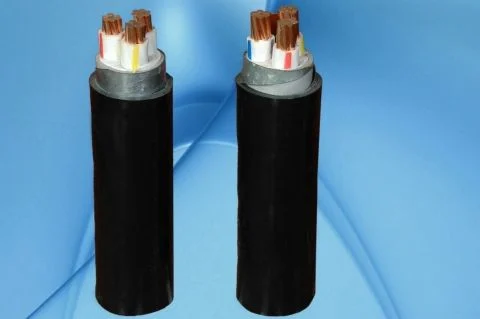 cap-dien-luc-ruot-dong-cach-dien-xlpe-giap-bang-kim-loai-vo-pvc-cxv-data-06-1-kv-cxv-dsta-06-1-kv-cadivi